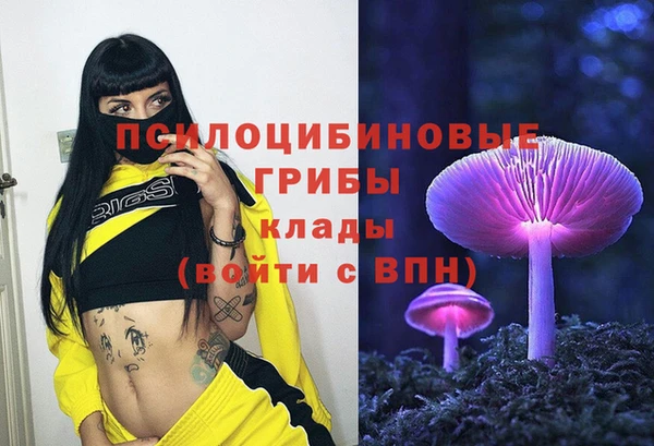 молекула духа Аркадак