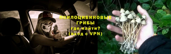 скорость Арсеньев