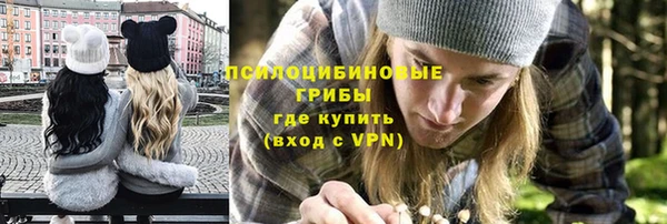 молекула духа Аркадак