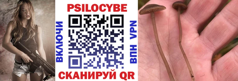 darknet формула Почеп Псилоцибиновые грибы MAGIC MUSHROOMS сколько стоит