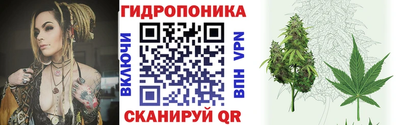 Шишки марихуана семена  Почеп 